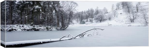 Frozen Tarn Hows Covered in Snow Lake District Canvas Print by Sonny Ryse