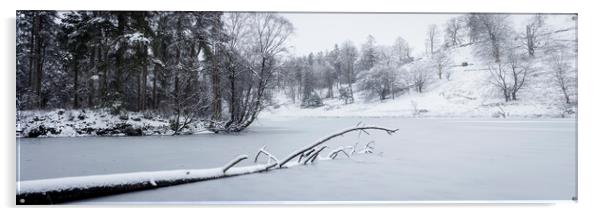 Frozen Tarn Hows Covered in Snow Lake District Acrylic by Sonny Ryse