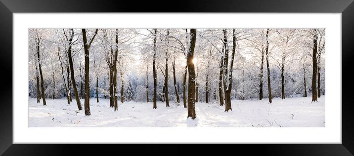 Fewston Woodland covered in Snow England Framed Mounted Print by Sonny Ryse