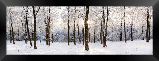 Fewston Woodland covered in Snow England Framed Print by Sonny Ryse