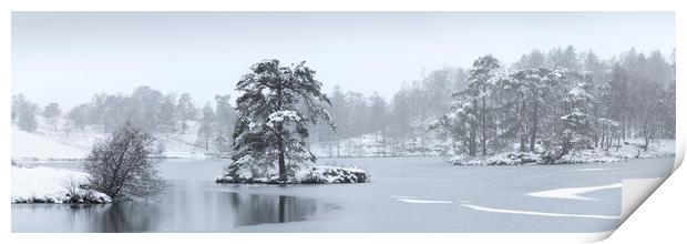 Frozen tarn hows covere din snow lake district Print by Sonny Ryse