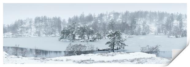 Frozen Tarn Hows Covered in Snow Lake District Print by Sonny Ryse