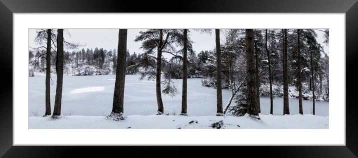 Frozen Tarn Hows Covered in Snow Lake District Framed Mounted Print by Sonny Ryse