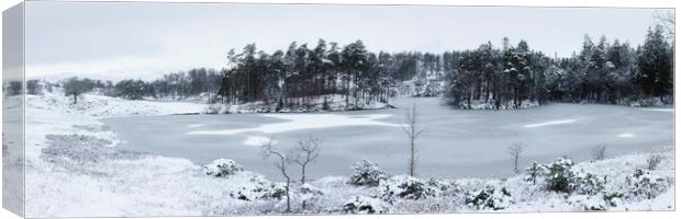 Frozen Tarn Hows Covered in Snow Lake District Canvas Print by Sonny Ryse