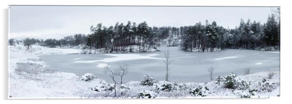 Frozen Tarn Hows Covered in Snow Lake District Acrylic by Sonny Ryse