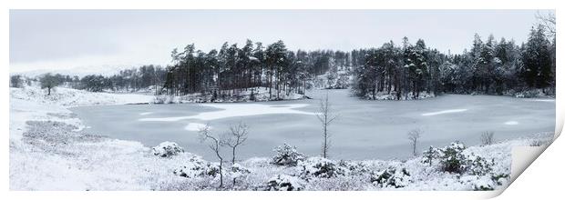 Frozen Tarn Hows Covered in Snow Lake District Print by Sonny Ryse