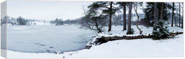 Frozen Tarn Hows in winter Lake District Canvas Print by Sonny Ryse