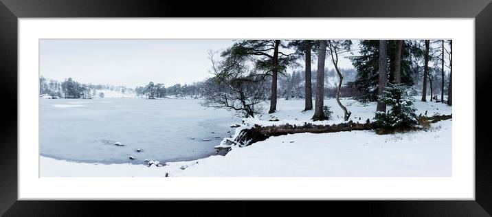 Frozen Tarn Hows in winter Lake District Framed Mounted Print by Sonny Ryse
