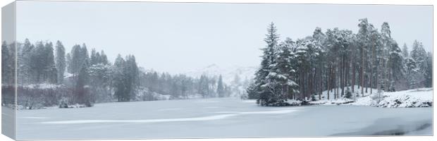 Frozen Tarn Hows Lake District Canvas Print by Sonny Ryse