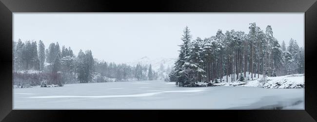 Frozen Tarn Hows Lake District Framed Print by Sonny Ryse