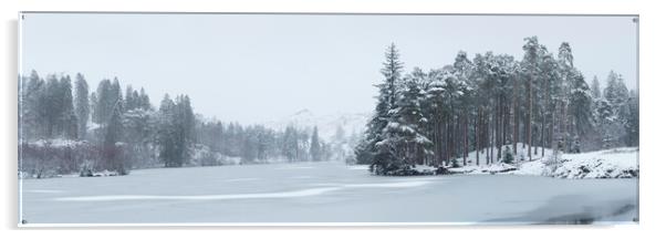 Frozen Tarn Hows Lake District Acrylic by Sonny Ryse