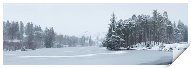 Frozen Tarn Hows Lake District Print by Sonny Ryse