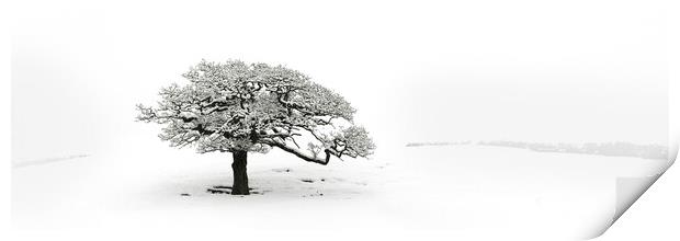 Lone tree covered in snow Print by Sonny Ryse