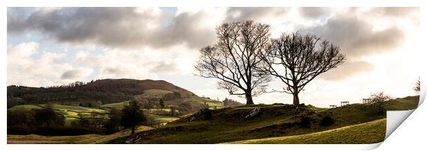 Low Wray Lake District Print by Sonny Ryse