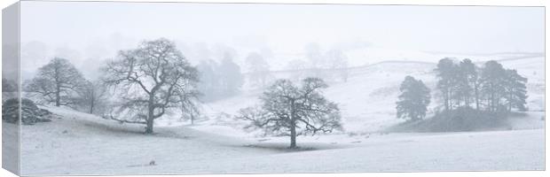 Rydal in winter lake district Canvas Print by Sonny Ryse