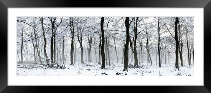 Swinsty woodland in winter Yorkshire Dales 2 Framed Mounted Print by Sonny Ryse