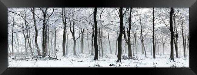 Swinsty woodland in winter Yorkshire Dales 2 Framed Print by Sonny Ryse