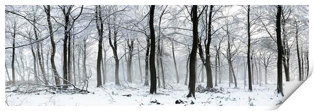 Swinsty woodland in winter Yorkshire Dales 2 Print by Sonny Ryse