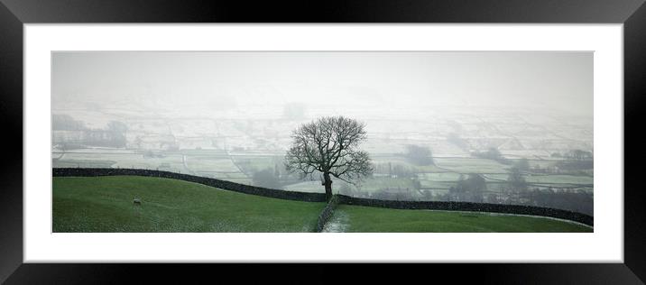 Swaledale fields Framed Mounted Print by Sonny Ryse