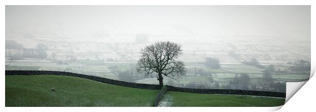 Swaledale fields Print by Sonny Ryse