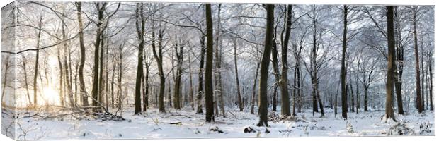 Swinsty woodland in winter Yorkshire Dales Canvas Print by Sonny Ryse