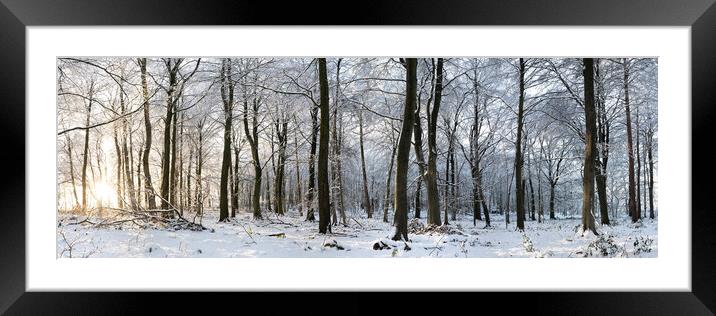 Swinsty woodland in winter Yorkshire Dales Framed Mounted Print by Sonny Ryse