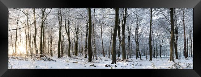 Swinsty woodland in winter Yorkshire Dales Framed Print by Sonny Ryse