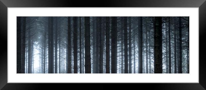 Pine woods Framed Mounted Print by Sonny Ryse