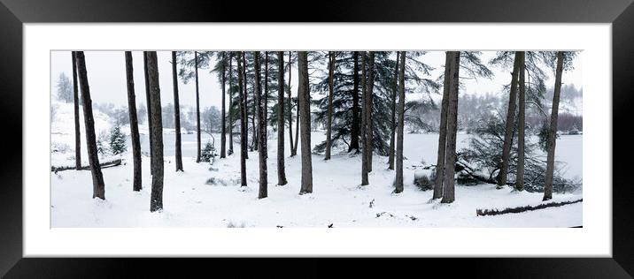 Tarn Hows Woodland inwinter Lake District Framed Mounted Print by Sonny Ryse