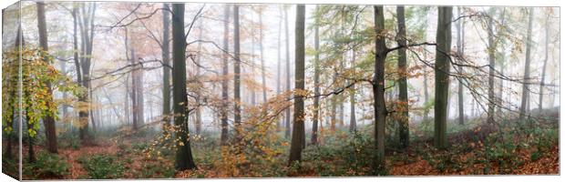 Swinsty woodland in autumn yorkshire dales 2 Canvas Print by Sonny Ryse