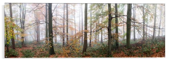 Swinsty woodland in autumn yorkshire dales 2 Acrylic by Sonny Ryse