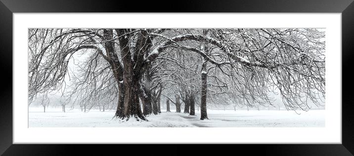 The stray snow_DSC1397-Pano Framed Mounted Print by Sonny Ryse