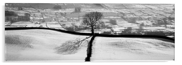 Wensleydale fields in winter in black and white yorkshire dales Acrylic by Sonny Ryse