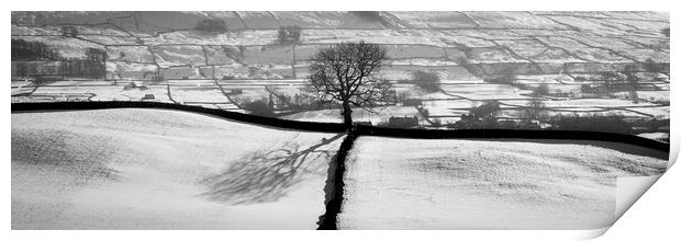 Wensleydale fields in winter in black and white yorkshire dales Print by Sonny Ryse