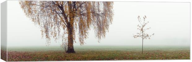 Willow tree on a misty autumn day Canvas Print by Sonny Ryse