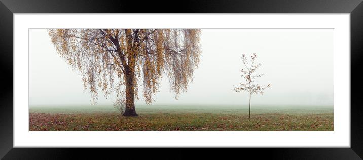 Willow tree on a misty autumn day Framed Mounted Print by Sonny Ryse