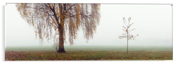 Willow tree on a misty autumn day Acrylic by Sonny Ryse