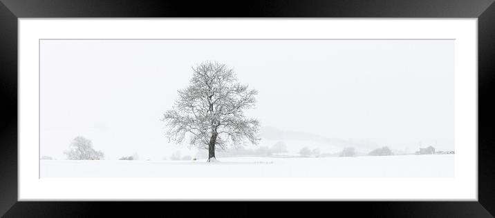 Yorkshire Dales Tree covered in snow Framed Mounted Print by Sonny Ryse