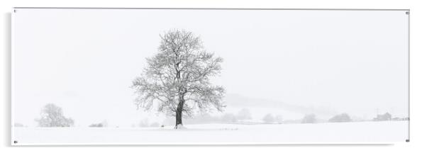Yorkshire Dales Tree covered in snow Acrylic by Sonny Ryse