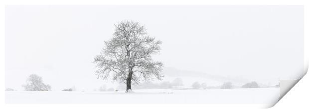 Yorkshire Dales Tree covered in snow Print by Sonny Ryse