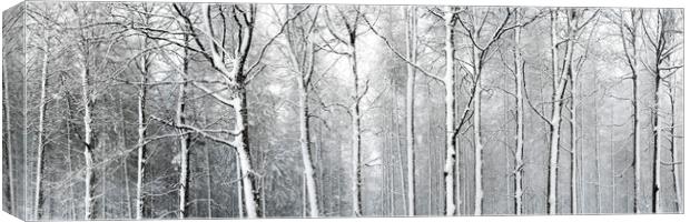 Yorkshire woodland covered in snow Canvas Print by Sonny Ryse