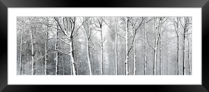 Yorkshire woodland covered in snow Framed Mounted Print by Sonny Ryse