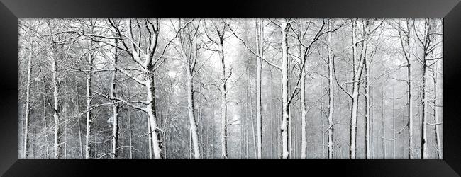 Yorkshire woodland covered in snow Framed Print by Sonny Ryse