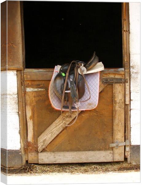 Tack on the Stable Door Canvas Print by Sheila Eames
