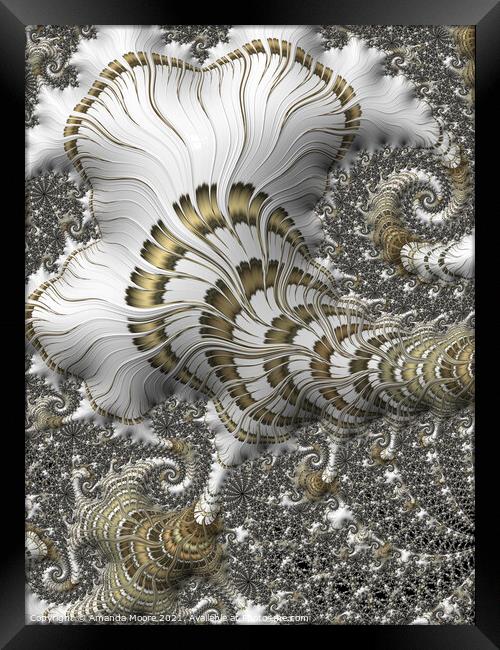 White and Gold 01 Framed Print by Amanda Moore