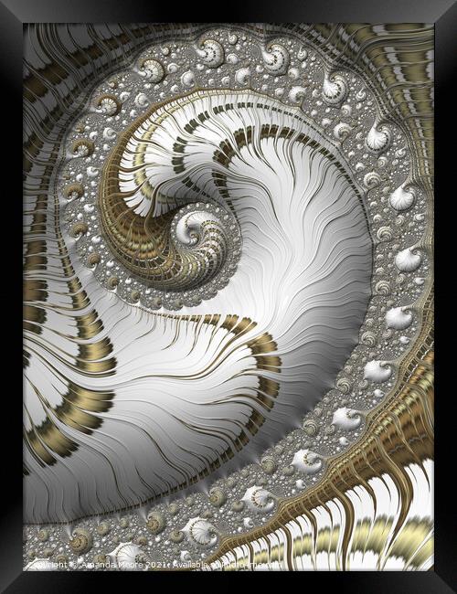 White and Gold 04 Framed Print by Amanda Moore