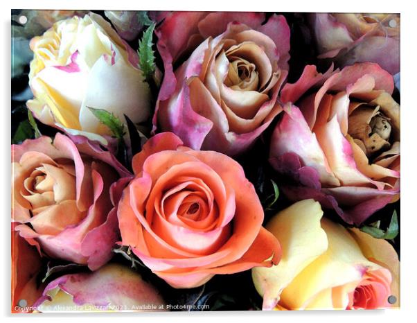 Romantic Roses Acrylic by Alexandra Lavizzari
