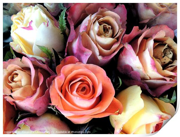 Romantic Roses Print by Alexandra Lavizzari