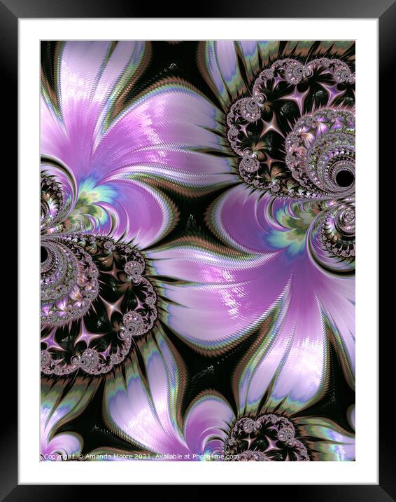 Lilacs Framed Mounted Print by Amanda Moore