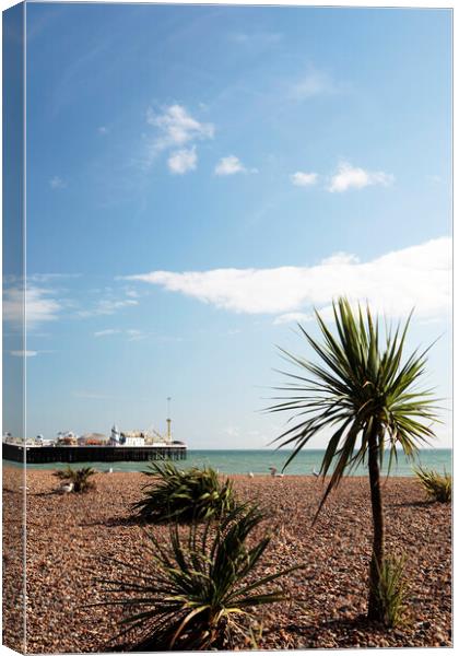 Brighton Sea Front and Palace Pier Canvas Print by Neil Overy